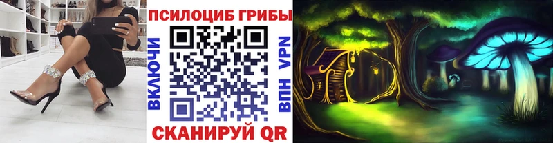 Галлюциногенные грибы Psilocybine cubensis закладки Оса